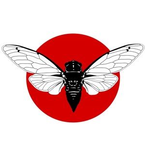 Meet your Posher, Renae